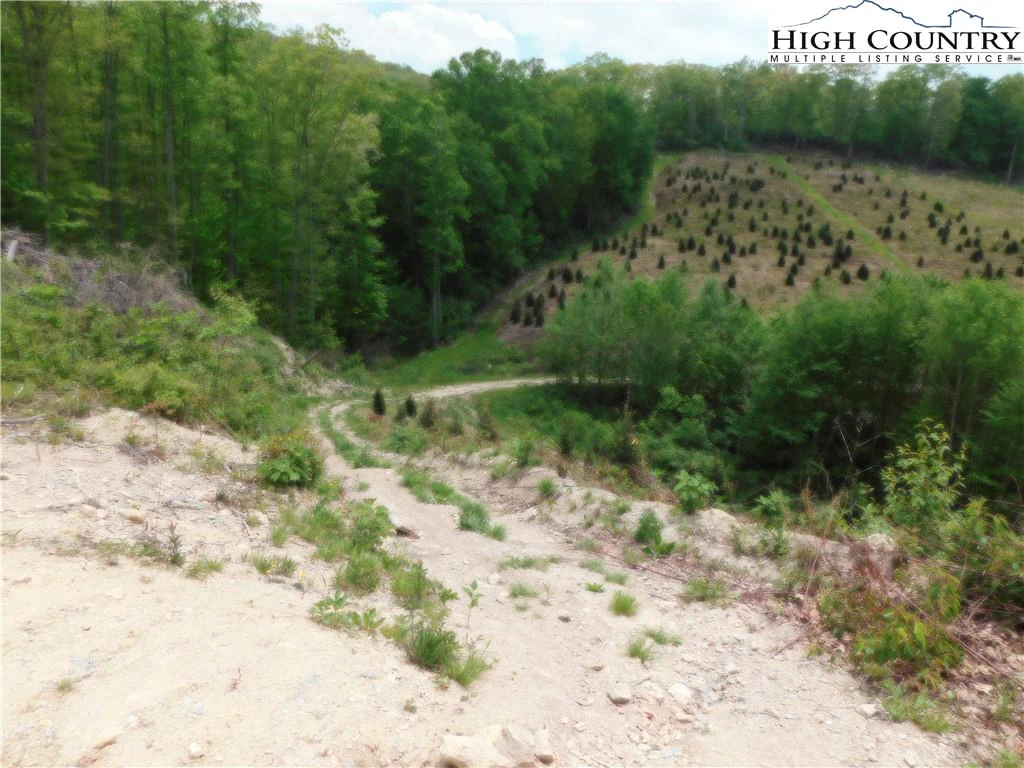 Image number 16 for the current listing