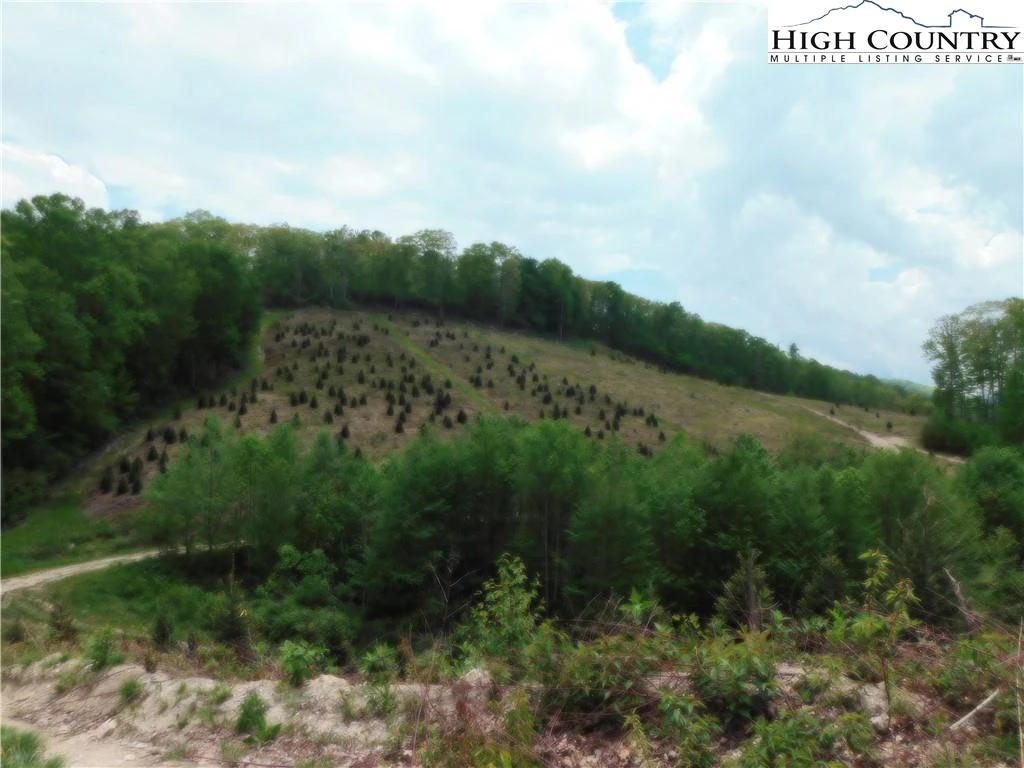 Image number 2 for the current listing