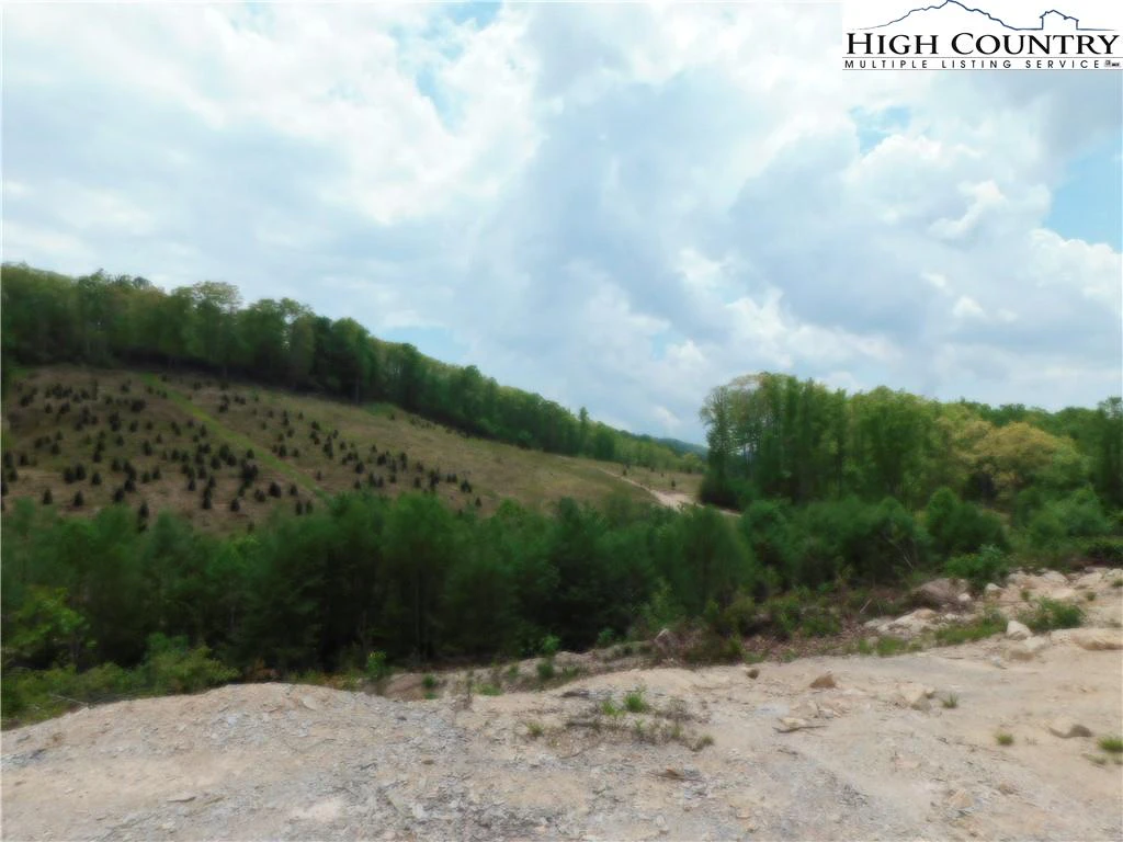 Image number 15 for the current listing