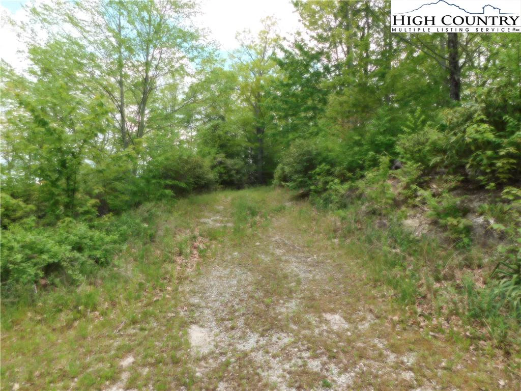 Image number 11 for the current listing