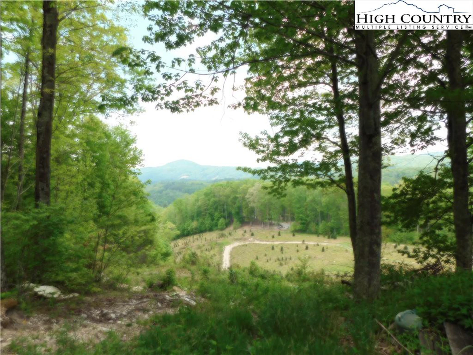 Image number 5 for the current listing