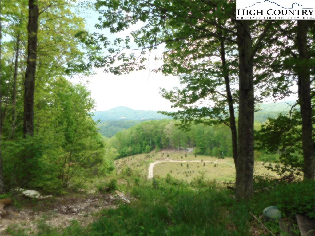 Image number 5 for the current listing
