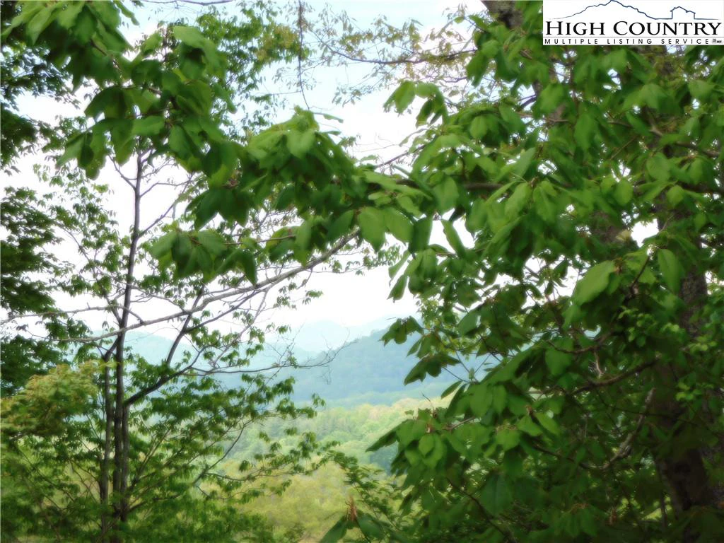 Image number 21 for the current listing