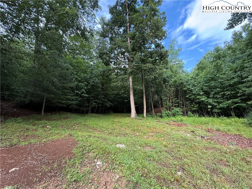 Image number 8 for the current listing