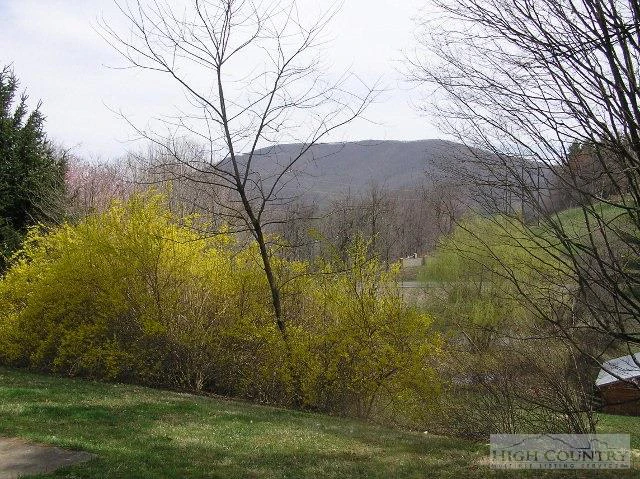 Image number 7 for the current listing