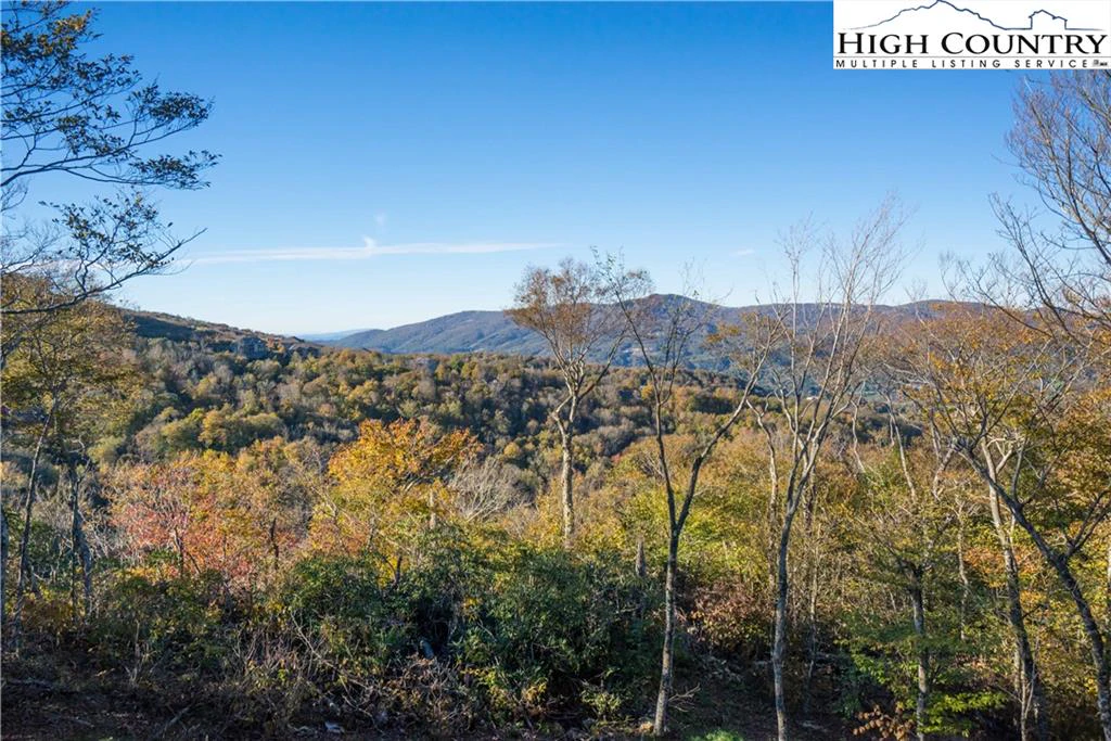 Image number 15 for the current listing