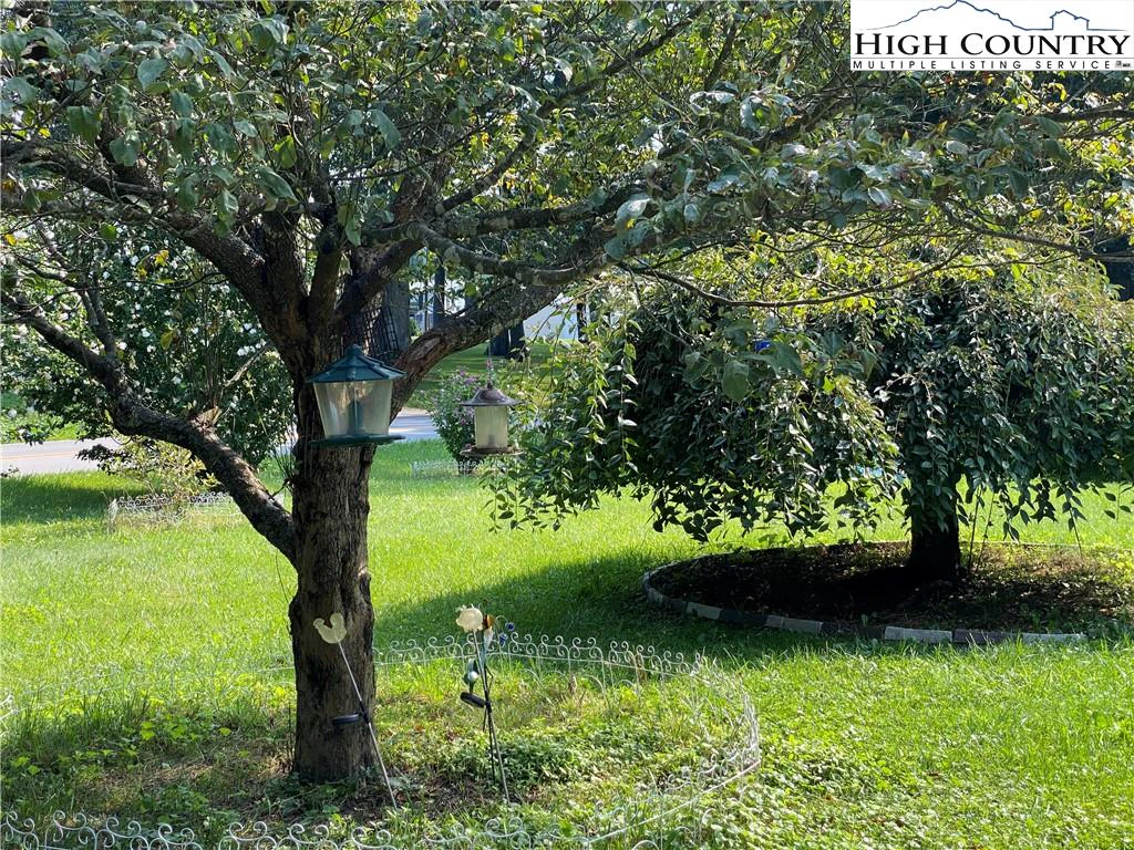 Image number 15 for the current listing