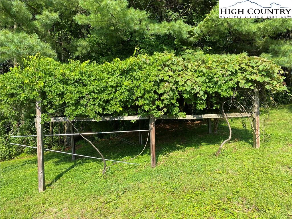 Image number 18 for the current listing