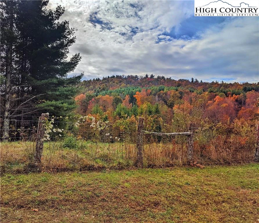 Image number 5 for the current listing