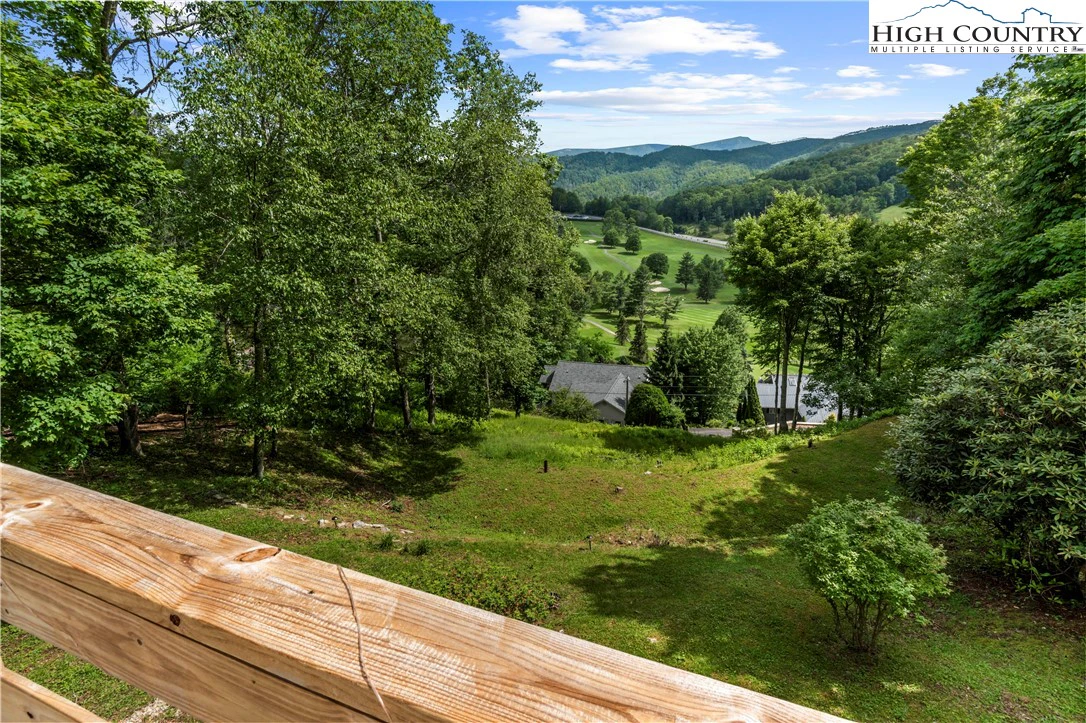 Image number 10 for the current listing