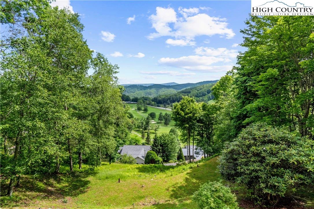 Image number 11 for the current listing