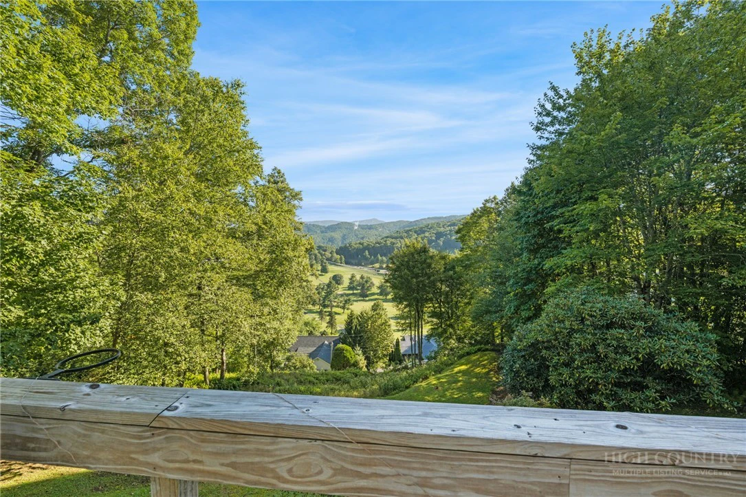 Image number 4 for the current listing