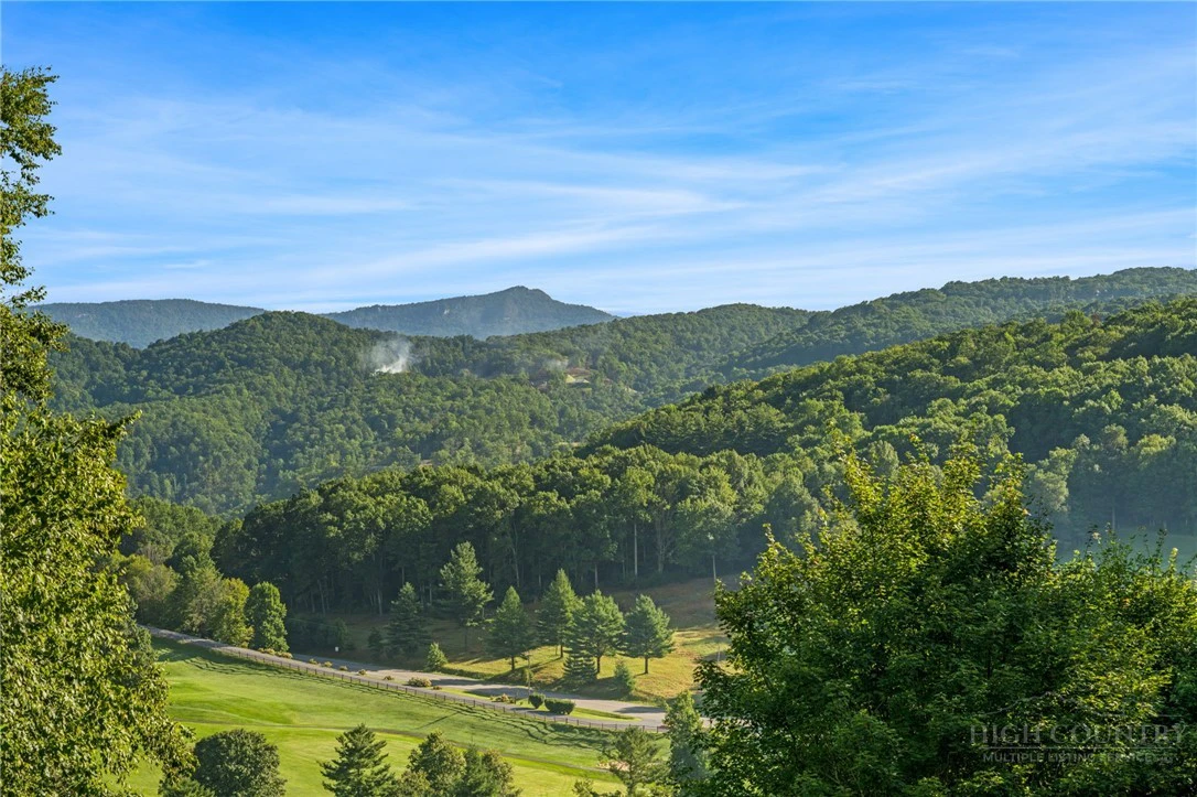 Image number 5 for the current listing