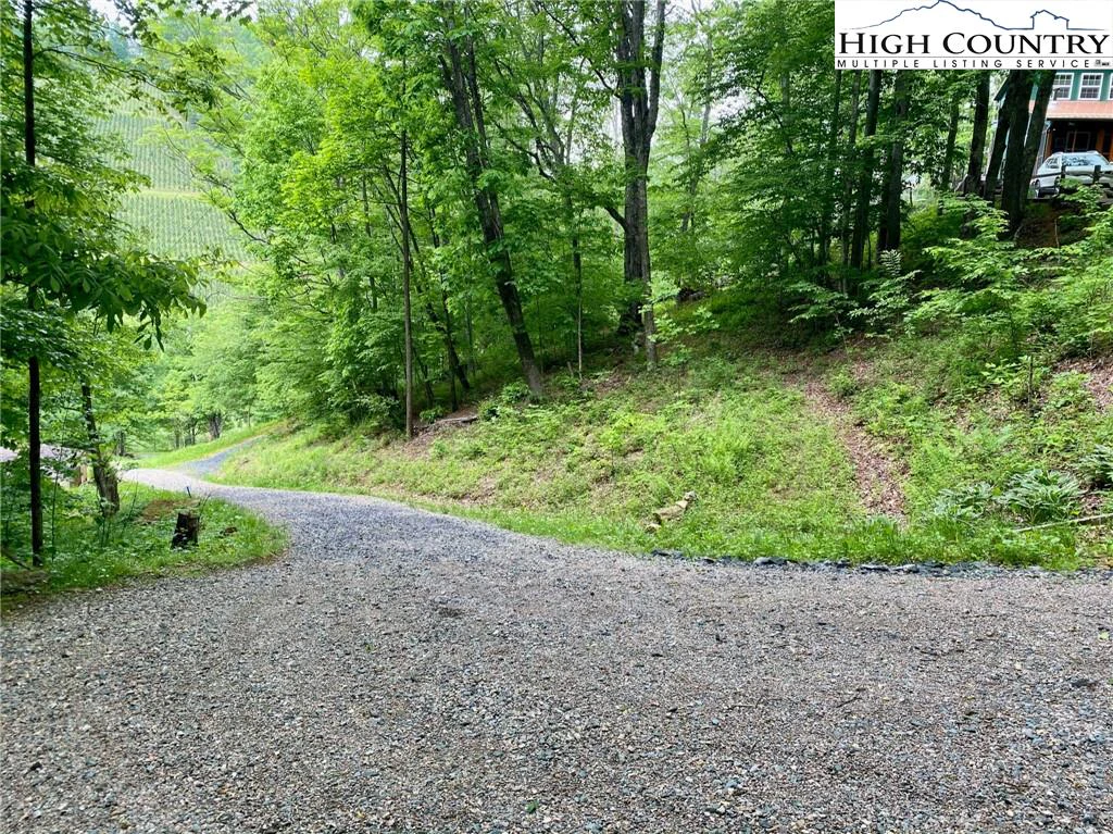 Image number 3 for the current listing