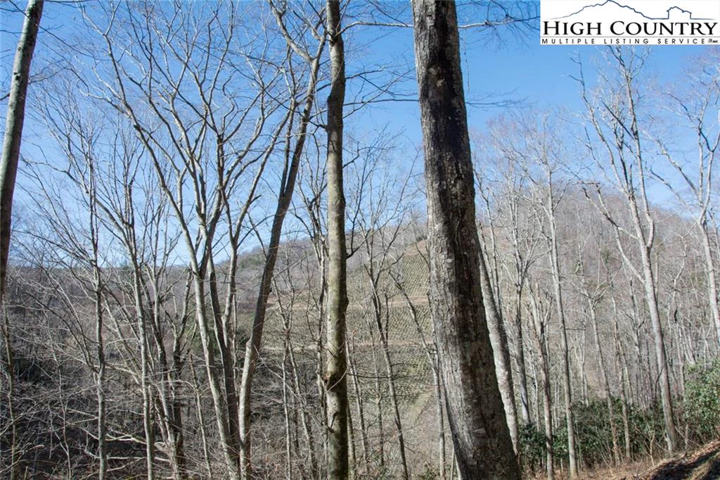 Image number 5 for the current listing