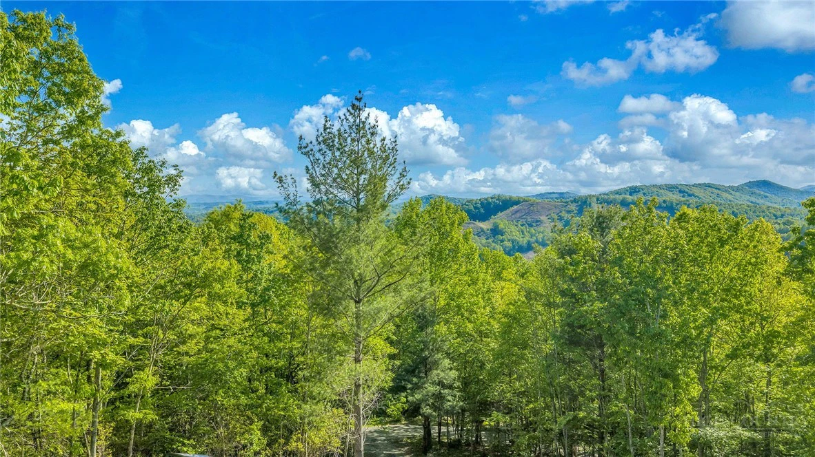 Image number 2 for the current listing