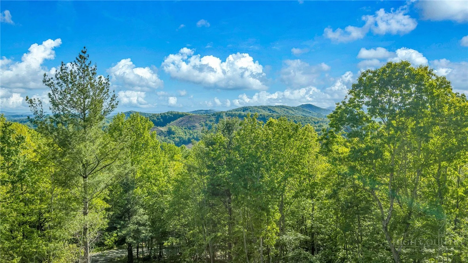 Image number 4 for the current listing