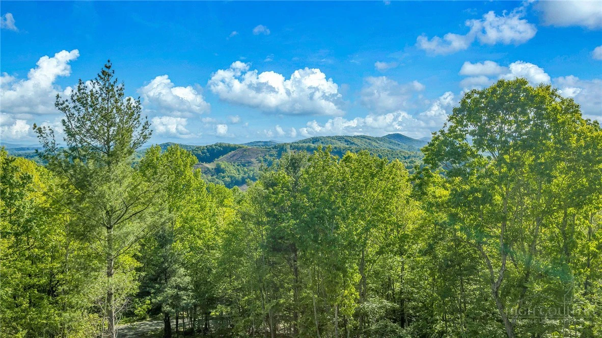 Image number 4 for the current listing