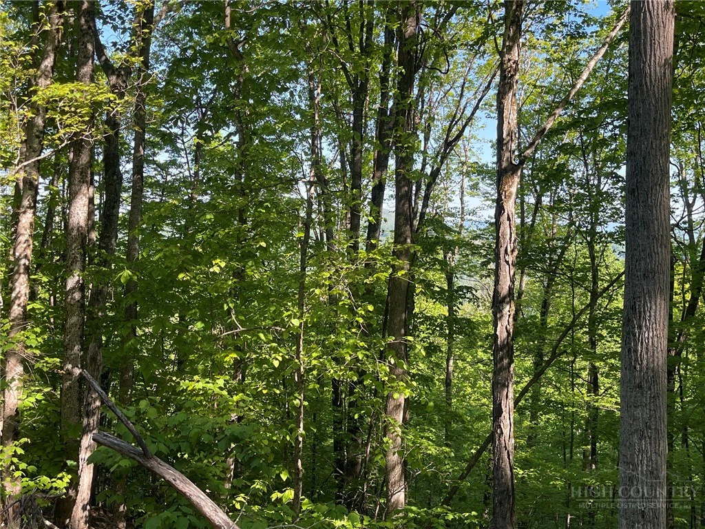 Image number 4 for the current listing