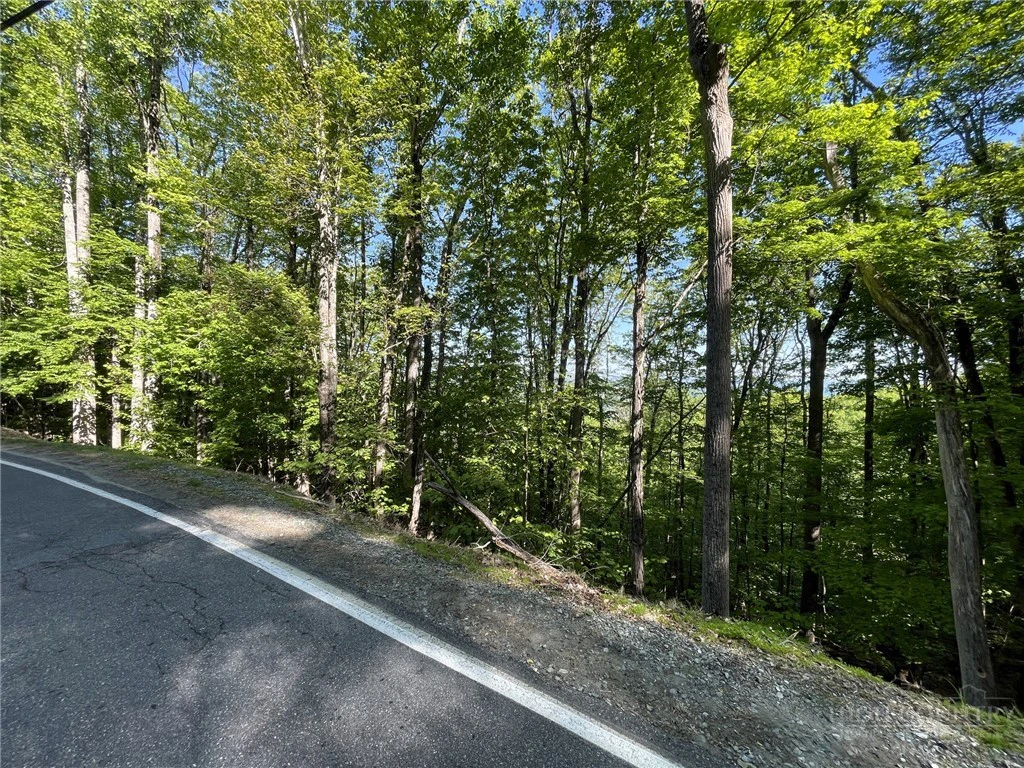 Image number 9 for the current listing
