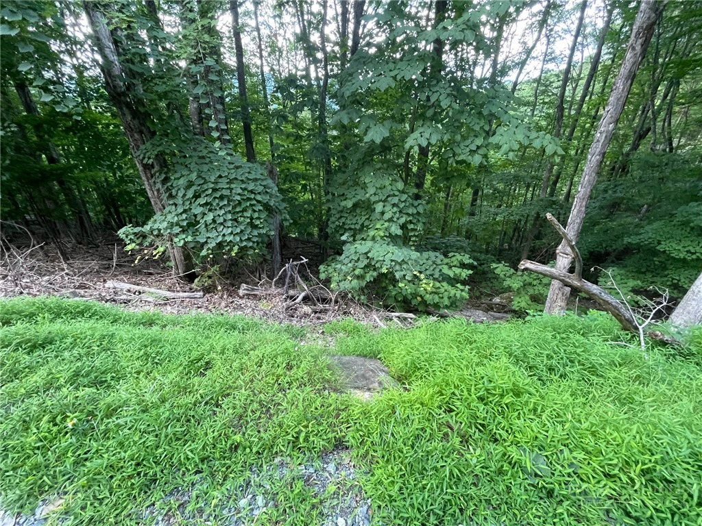 Image number 11 for the current listing