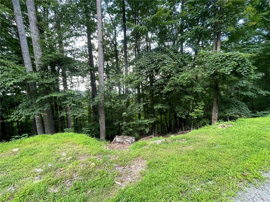 Image number 12 for the current listing