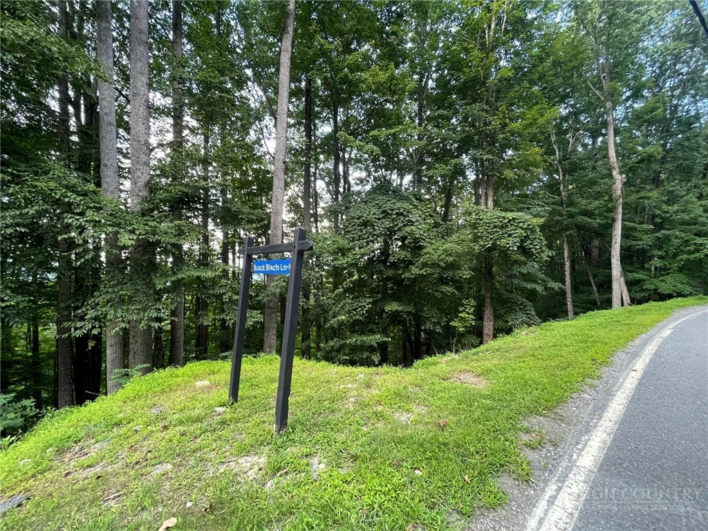 Image number 1 for the current listing