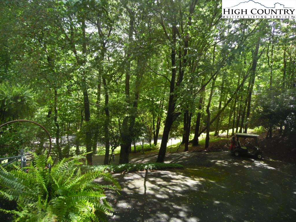 Image number 6 for the current listing
