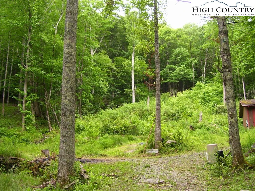 Image number 5 for the current listing