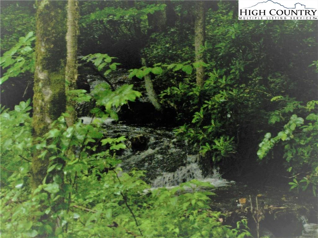 Image number 6 for the current listing