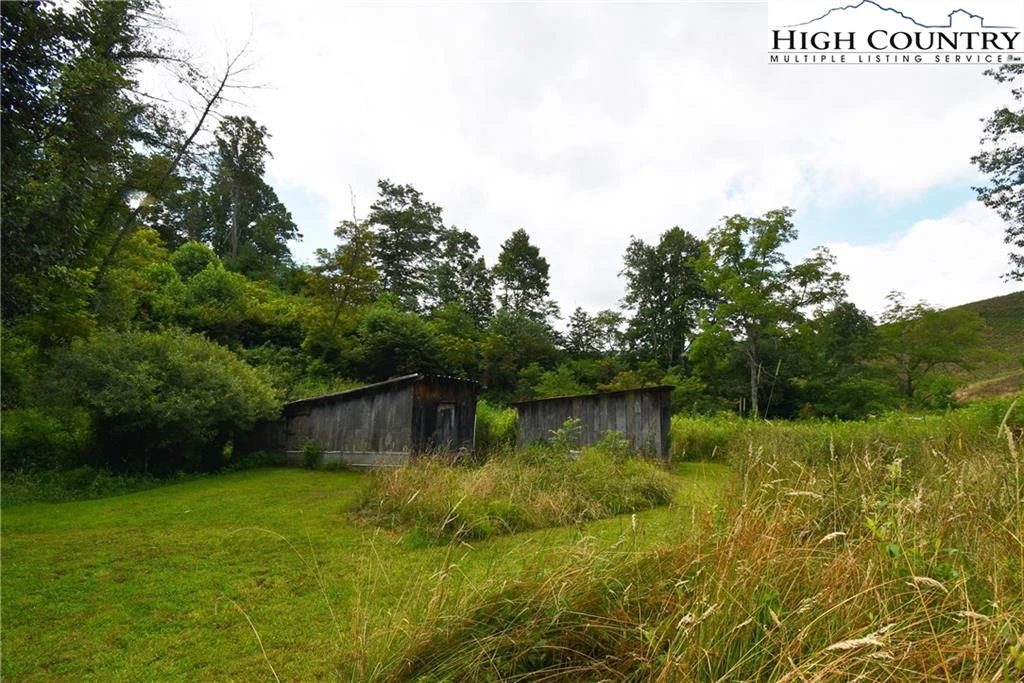 Image number 4 for the current listing