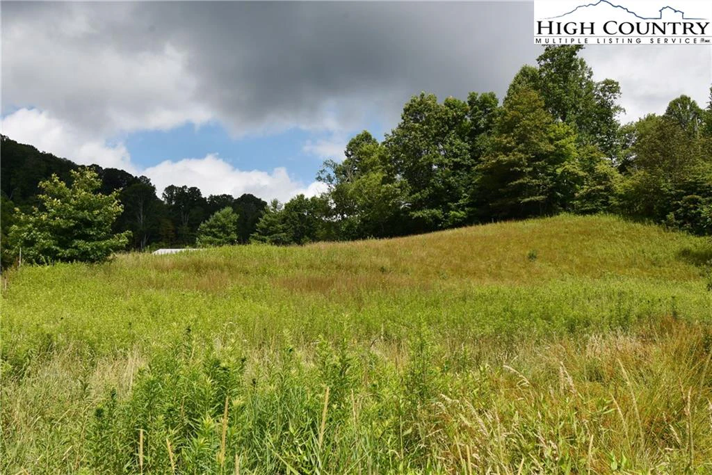 Image number 2 for the current listing