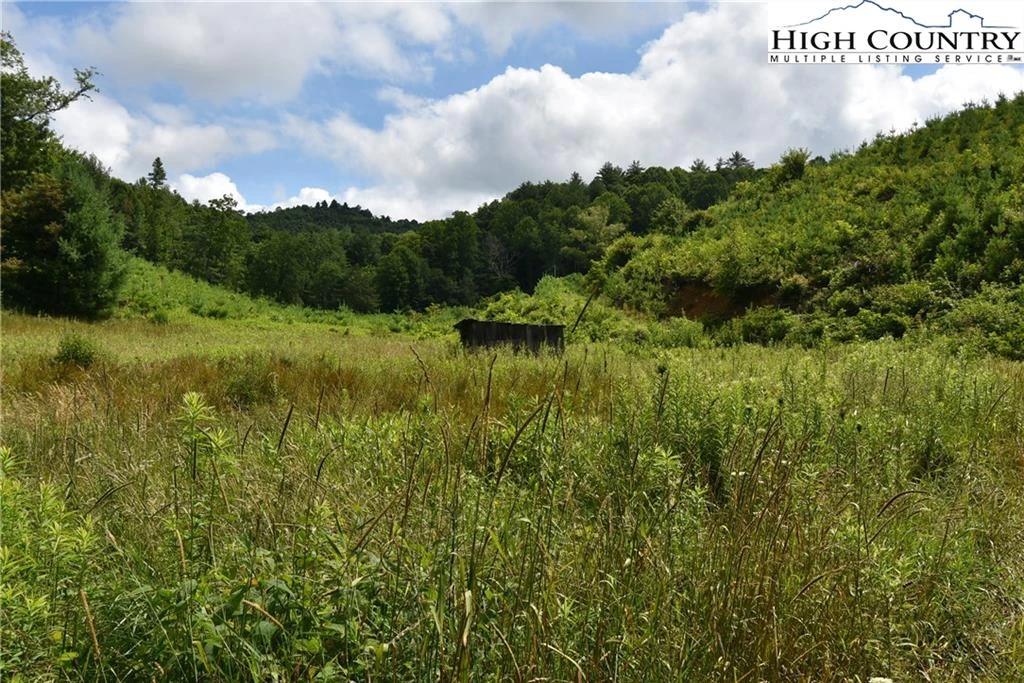 Image number 11 for the current listing