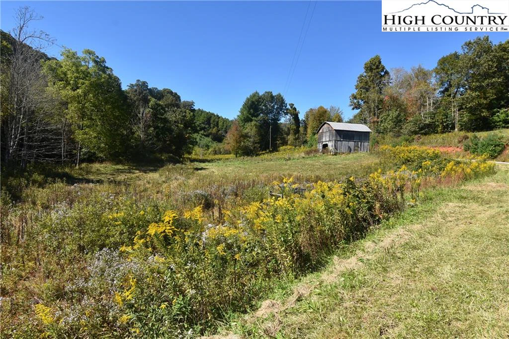 Image number 2 for the current listing