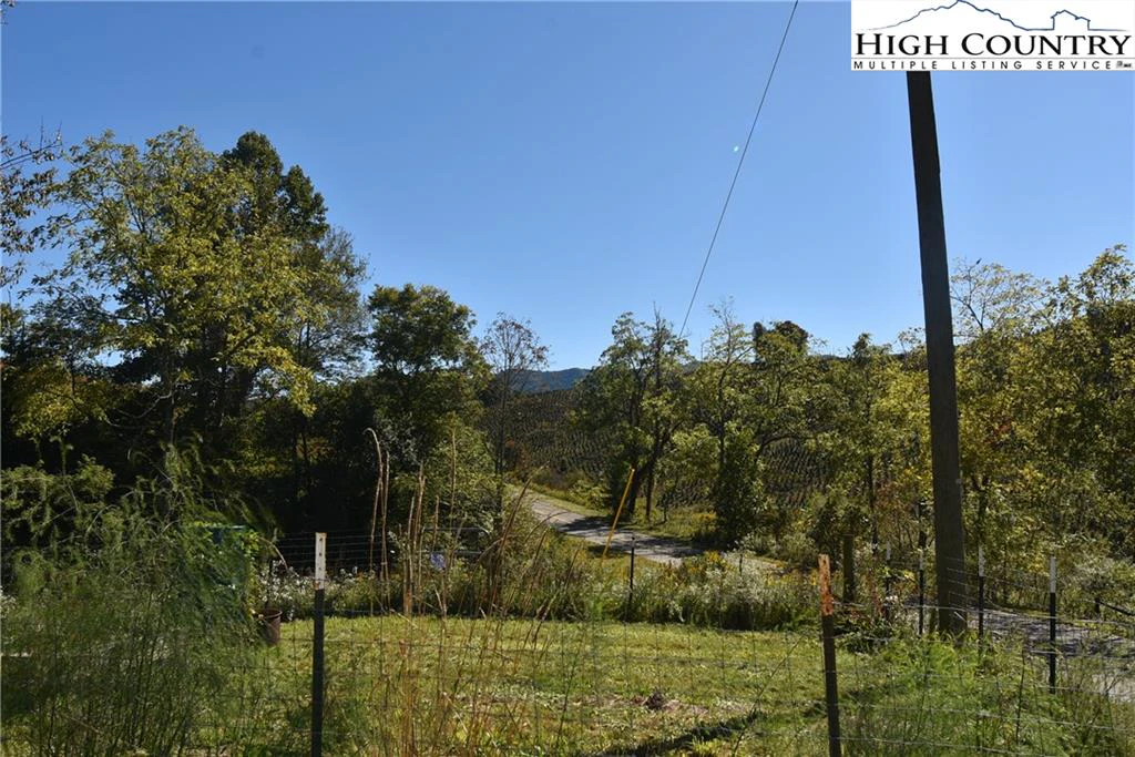 Image number 13 for the current listing