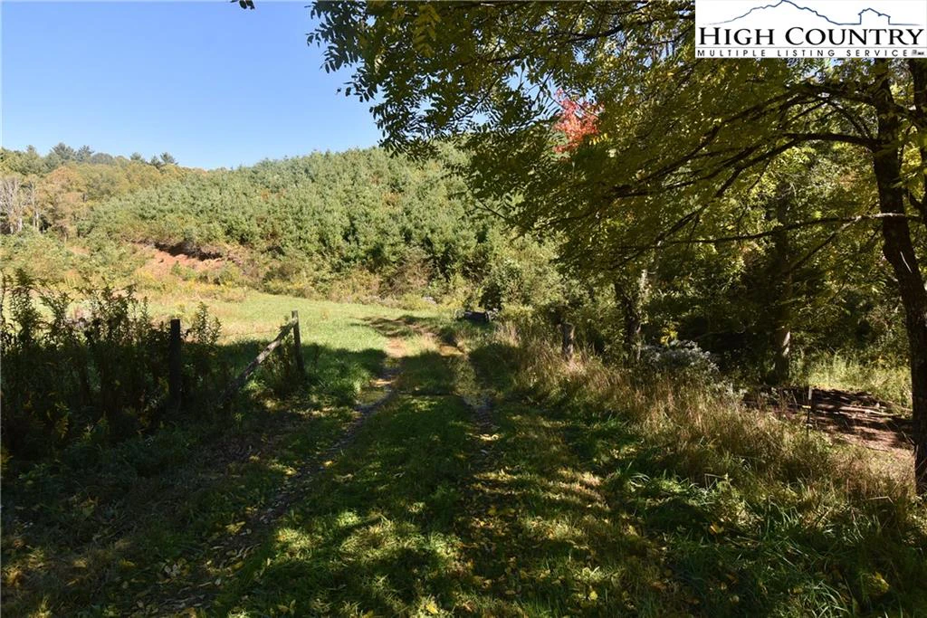 Image number 10 for the current listing