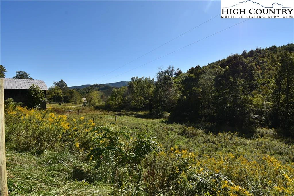 Image number 5 for the current listing