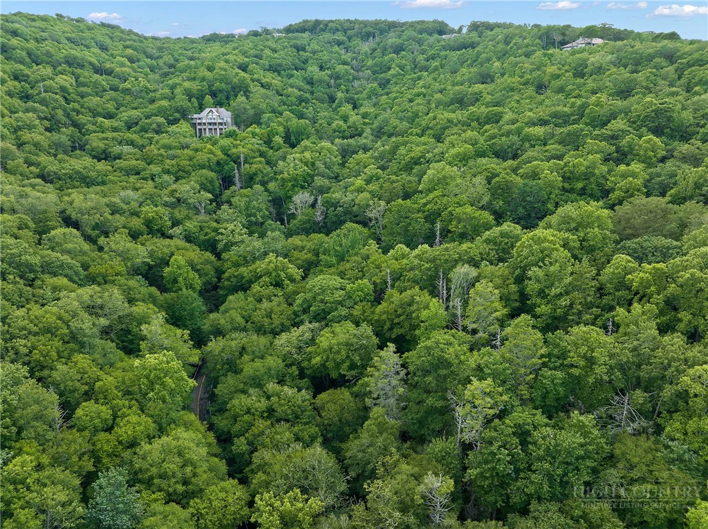 Image number 9 for the current listing