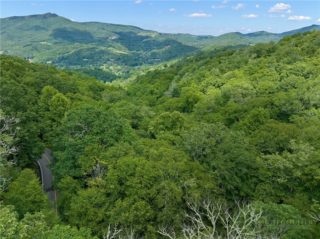 Image number 2 for the current listing