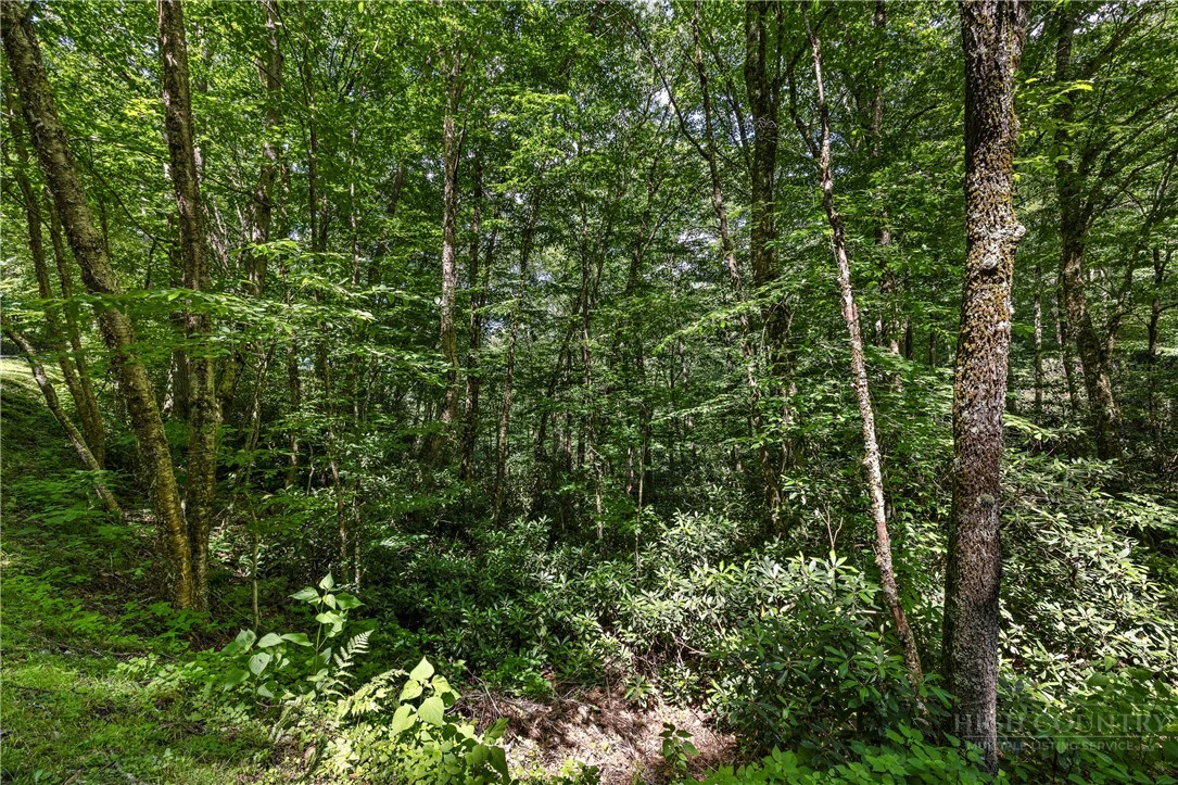 Image number 6 for the current listing