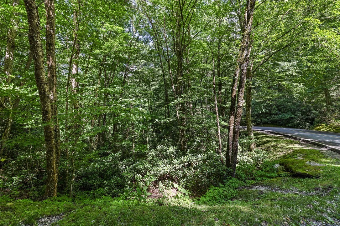 Image number 7 for the current listing