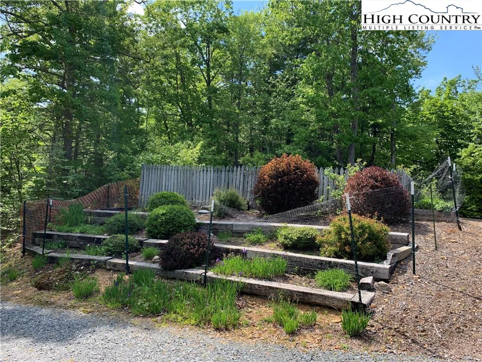 Image number 19 for the current listing
