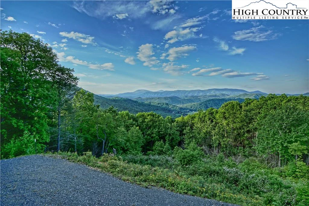 Image number 21 for the current listing