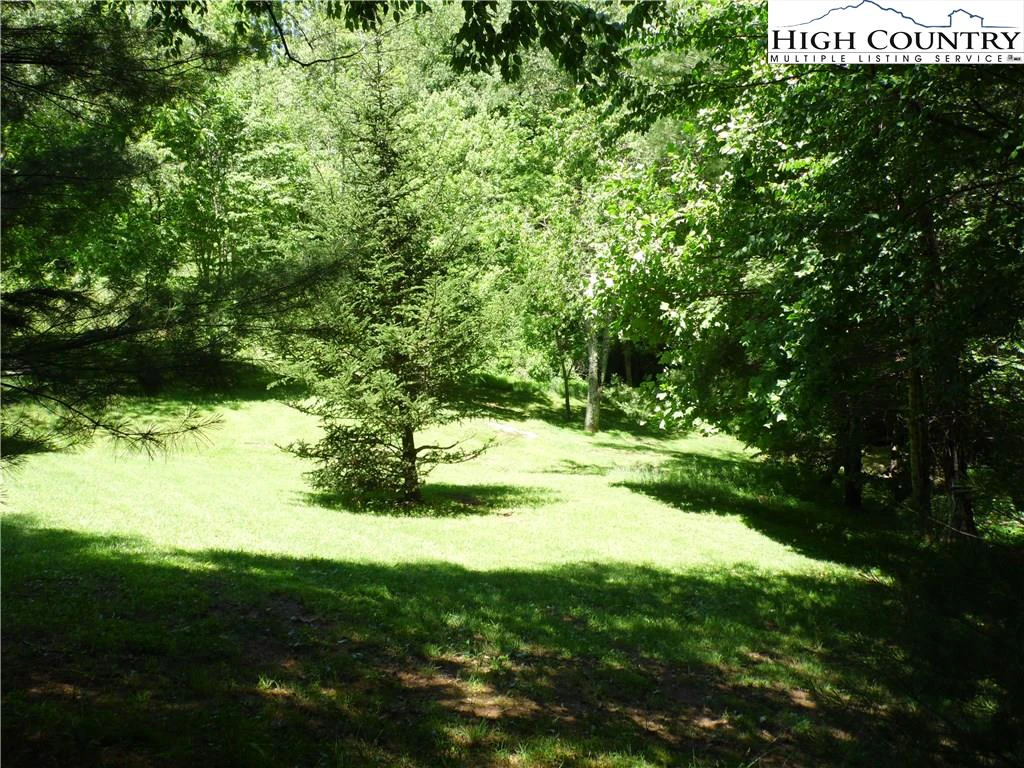 Image number 7 for the current listing