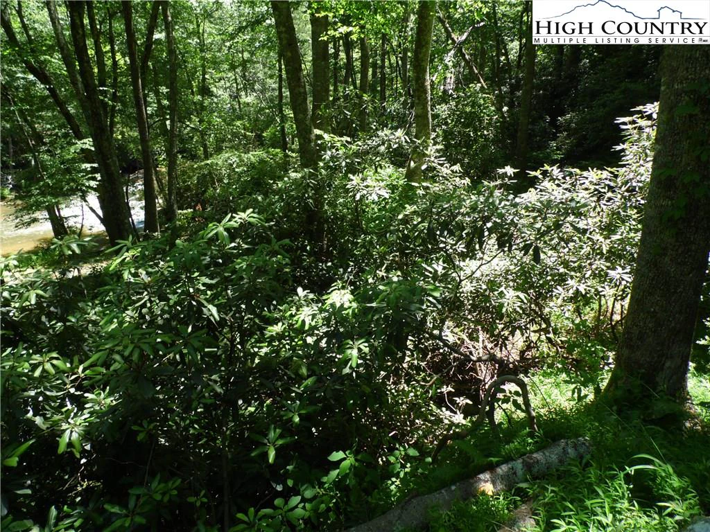 Image number 12 for the current listing