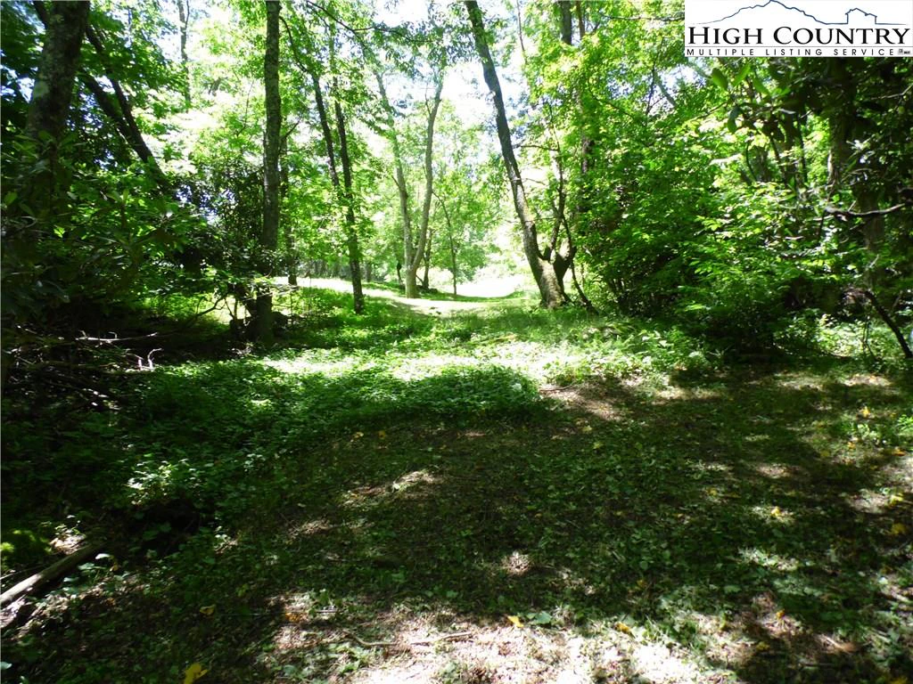 Image number 2 for the current listing