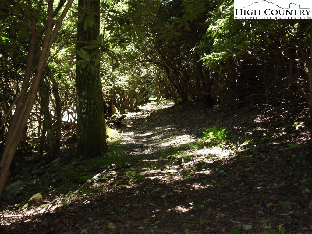 Image number 15 for the current listing