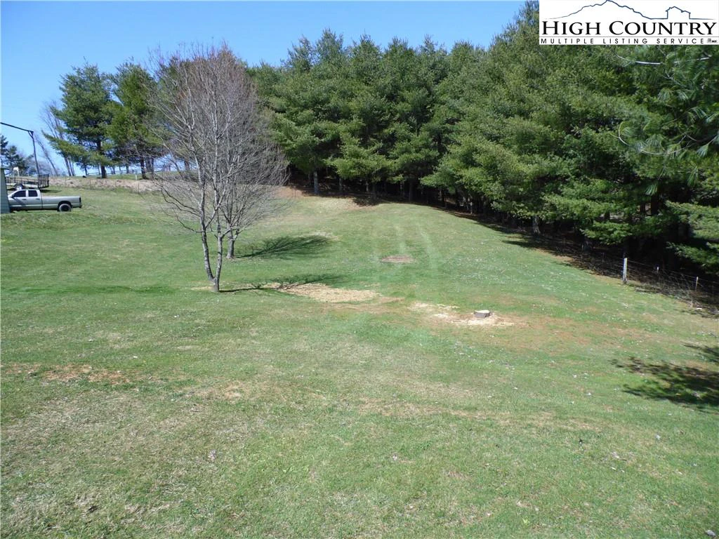 Image number 2 for the current listing
