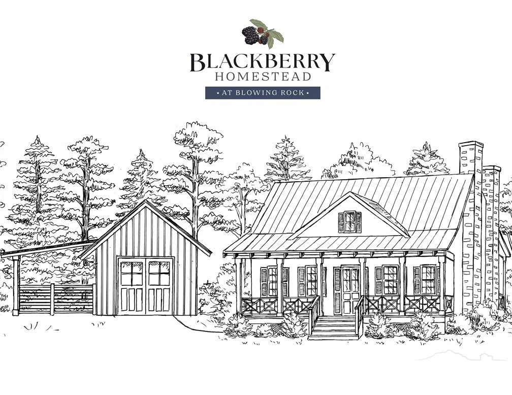 Image number 1 for the current listing