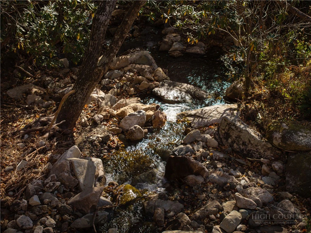 Image number 13 for the current listing
